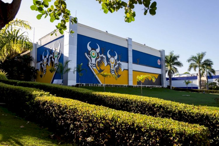 Retrospectiva do primeiro semestre de 2024 em Mato Grosso