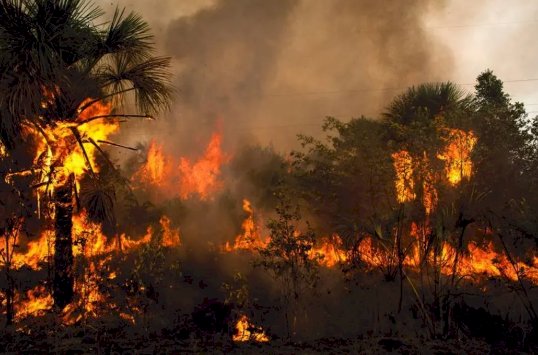 Incêndios atingem mais de 11 milhões de hectares em MT