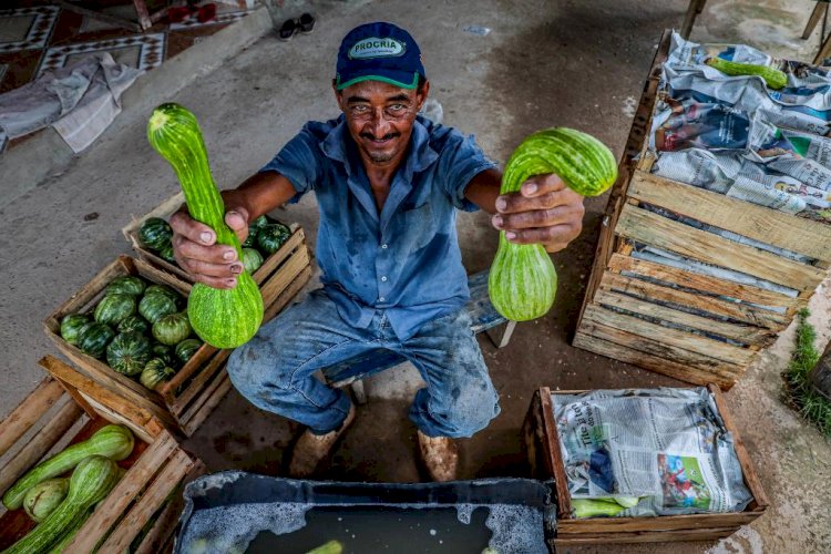 Governo lança programa de incentivo à agricultura familiar