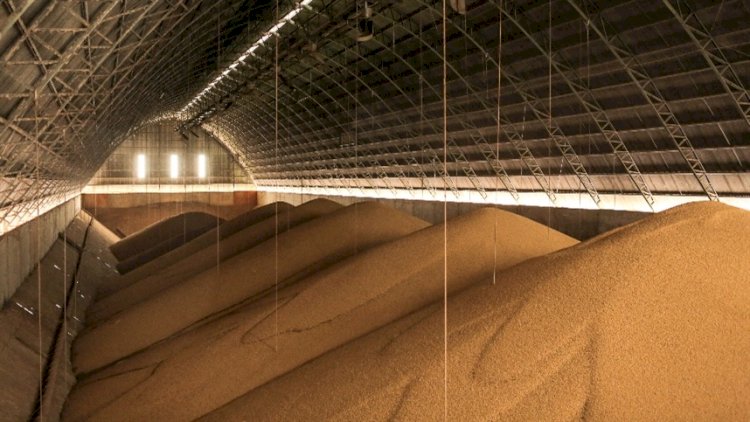 Esmagamento de soja cresce 26,65% em Mato Grosso e atinge recorde para fevereiro